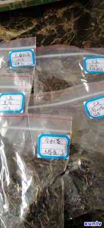 大益2019值得收藏的茶，探秘大益2019年值得收藏的茶品，你不可错过的珍稀好茶！