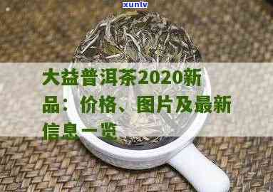 2019年大益新茶-2020年大益新茶