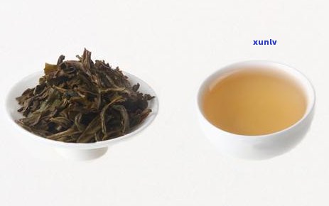 大益98年甲级沱茶与99年大益甲级沱茶比较