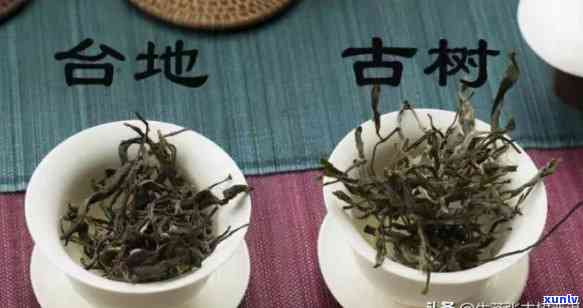 大益茶是台地茶吗，揭秘大益茶：它究竟是台地茶还是其他种类？