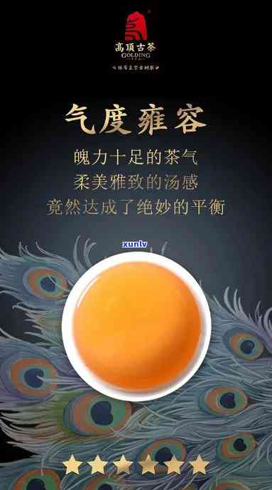 雀6星大益茶，品味尊贵，享受越：探索雀6星大益茶的独特魅力