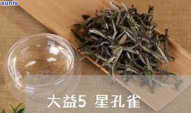 六星雀大益明星茶-雀6星大益茶