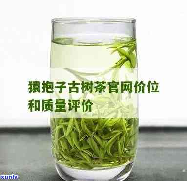 猿抱子古树茶200克价格，探寻古树茶韵味：猿抱子200克茶叶的价格解析