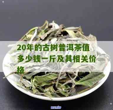 20年古树茶多少钱-20年古树茶多少钱一斤