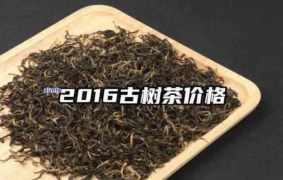 20年古树茶多少钱-20年古树茶多少钱一斤