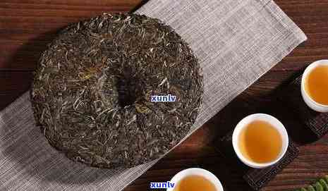 荒野古树茶饼价格全解：单饼、整盒多少钱？