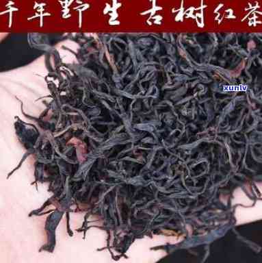 遵义红古树茶多少钱-遵义红古树茶多少钱一斤