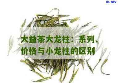 大益茶龙柱和小龙柱-大益茶龙柱和小龙柱哪个好