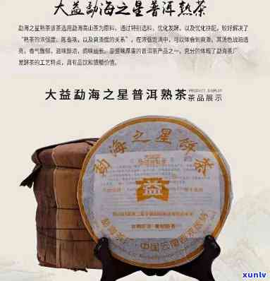 2007年大益勐海之春，探寻茶叶珍品：2007年大益勐海之春的传奇故事