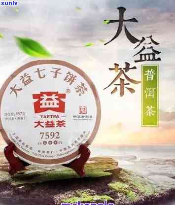 大益茶：疯狂热销的背后原因解析