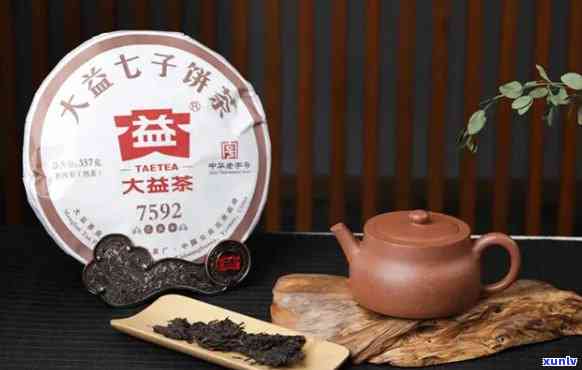 大益茶百科：全面了解大益茶