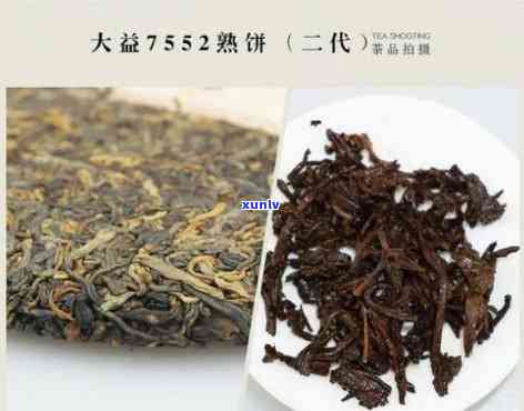 大益茶年份怎么区分-大益茶年份怎么区分好坏