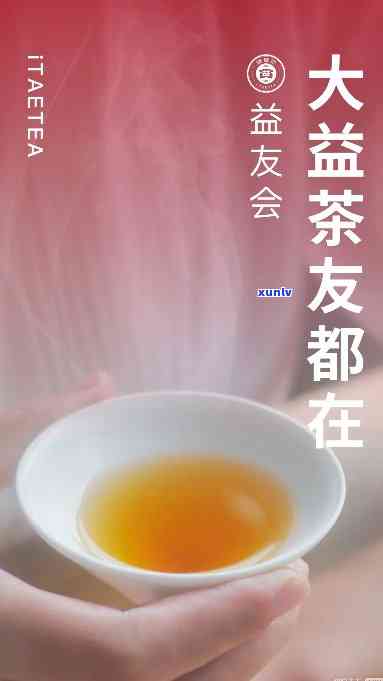 大益益友会的茶怎么样，深度解析：大益益友会的茶叶品质如何？