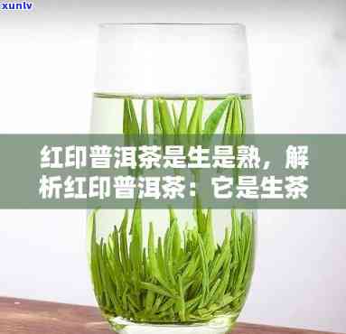 红印生茶是哪个山头-红印是生茶还是熟茶