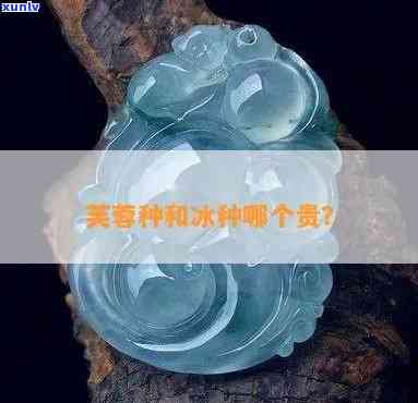 冰种翡翠芙蓉值钱吗，探究冰种翡翠芙蓉的价值：它真的值钱吗？