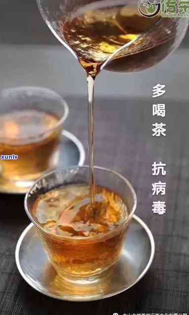 深山老树生茶：好喝还是有？能否饮用？全解在此！