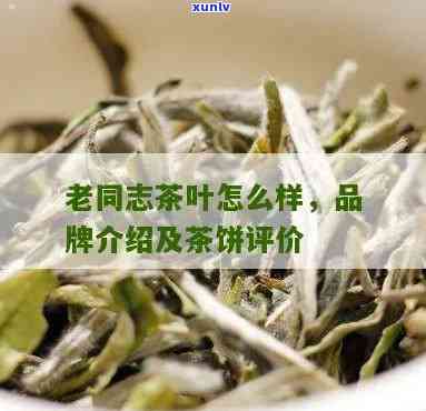 老同志茶推荐，为老同志精选的茶叶推荐