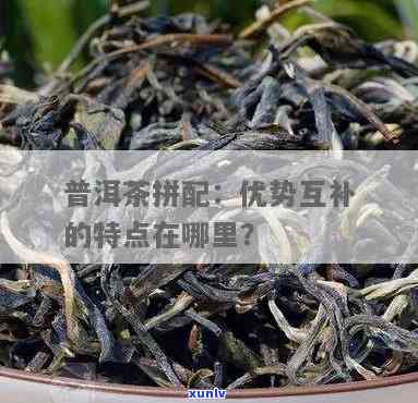 大益茶拼配优势互补的特点是什么，探秘大益茶拼配：优势互补的特点解析