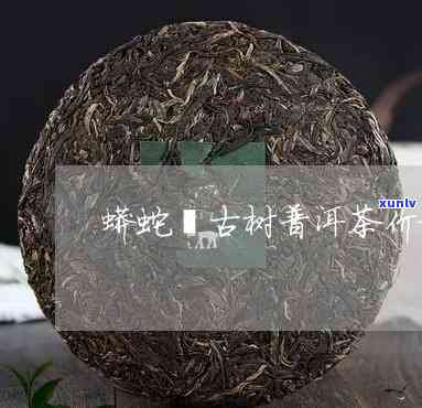 蟒蛇箐古树茶价位多少，探寻古老韵味：蟒蛇箐古树茶的市场价格解析