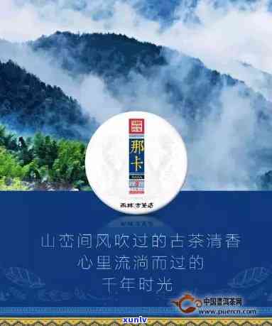 雨林古树茶官方官网：探索高品质茶叶的世界