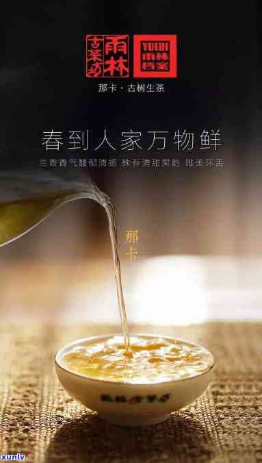 雨林古树茶官方官网：探索高品质茶叶的世界