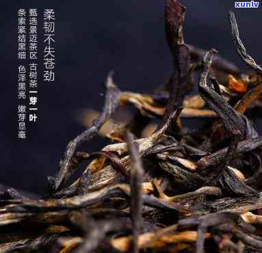 重庆有什么茶好喝