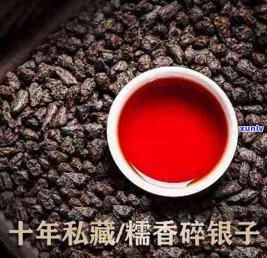 碎银子茶大叶古树珍藏版，品味古韵：碎银子茶大叶古树珍藏版，一场味蕾的宴