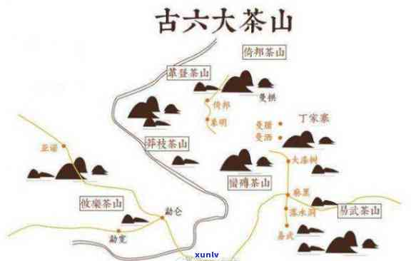 古树茶六大名山排名揭晓，你更爱的是哪一位？