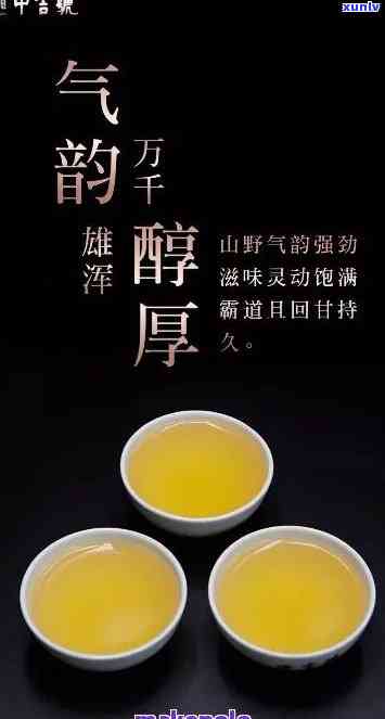 大益茶蜜韵价格，大益茶蜜韵价格一览，让您轻松了解产品价值！