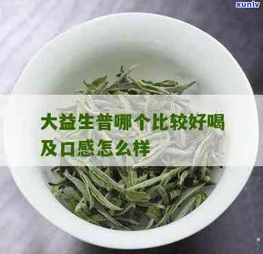 大益生茶哪款茶好喝-大益生茶哪款茶好喝一点