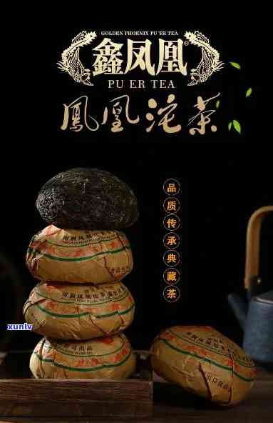 鑫凤凰饼茶价格查询及凤凰沱茶、普洱茶信息