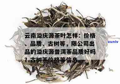 溢庆源普洱茶品质好吗，溢庆源普洱茶：品质如何？一份详细的评测报告