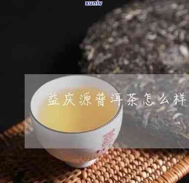 溢庆源普洱茶品质好吗，溢庆源普洱茶：品质如何？一份详细的评测报告