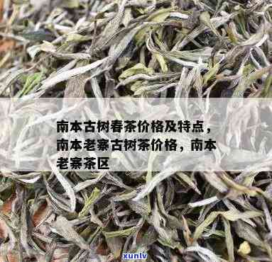 南本老寨古树茶口感，探索南本老寨古树茶的口感魅力