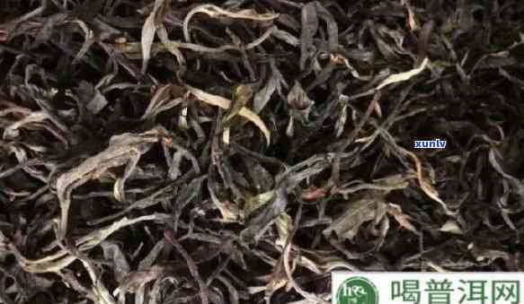 古树茶条索外形特征介绍，探秘古树茶：条索外形特征解析