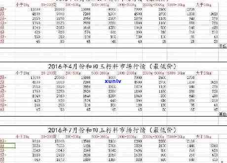 冰种项链价格，探究冰种项链的价格：一份全面的市场分析报告