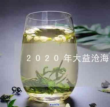 2020年沧海大益茶，品鉴2020年沧海大益茶：一场味蕾的宴