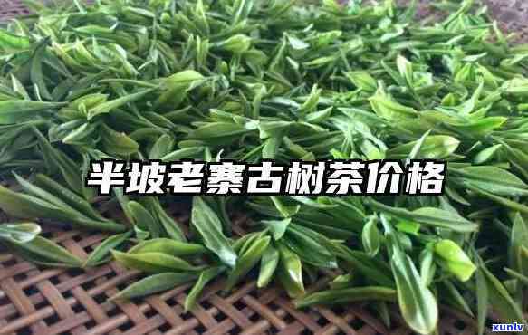 南糯半坡寨古树茶价格全解析：一探究竟