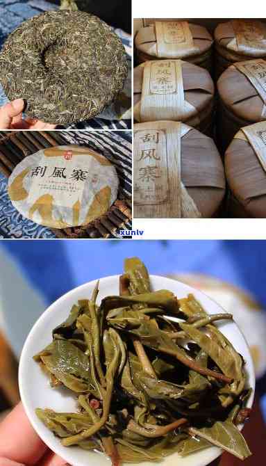 刮风寨大树生茶价格-刮风寨古树茶2021价格