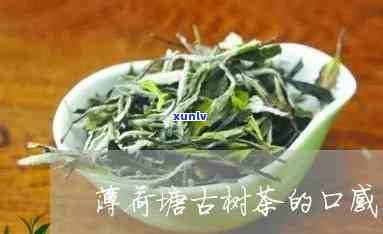 薄荷塘古树茶的特点-薄荷塘古树茶的特点及来历