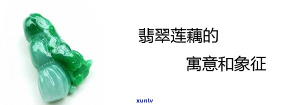 翡翠莲藕的寓意是什么意思，探究翡翠莲藕的深层寓意，揭示其背后的文化含义