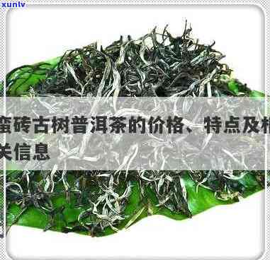 蛮砖古树普洱茶价格，探寻历韵味：蛮砖古树普洱茶的价格解析