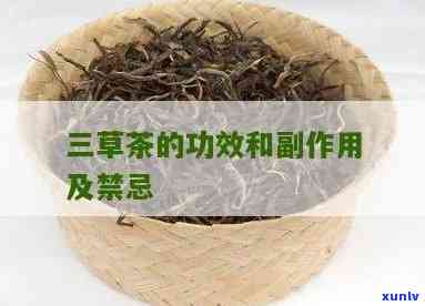 三草茶舍：功效与作用全解析