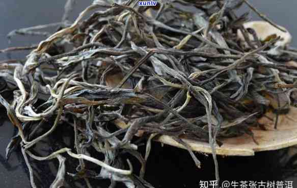 曼糯古树茶口感怎么样，《探秘古老韵味：曼糯古树茶的口感体验》