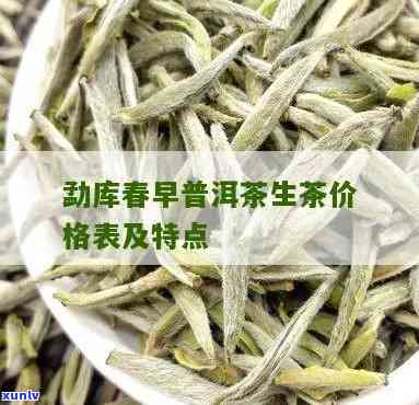 勐库春尖的价格生茶-勐库春尖生茶特点