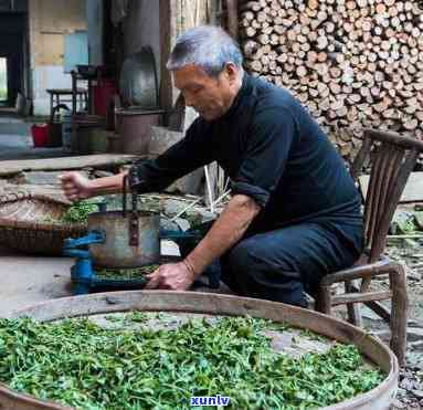 匠人制茶是什么茶，「匠人制茶」：探寻手工 *** 茶叶的故事与技艺