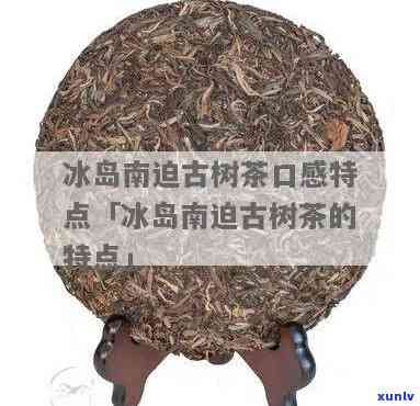 南迫古树茶价格：冰岛南迫古树茶多少钱一公斤？