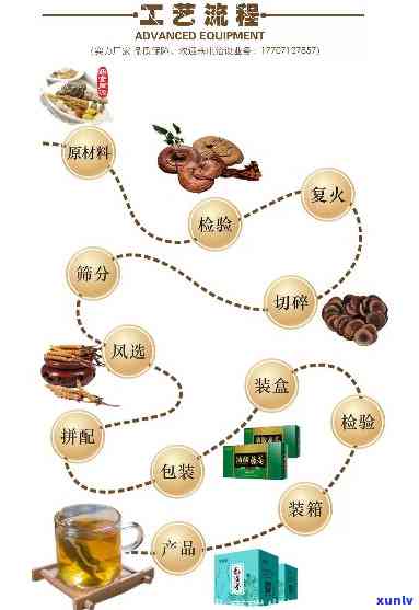 养生茶代加工多少钱-养生茶代加工多少钱一斤