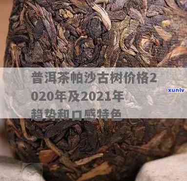 深度解析：帕沙古树茶口感特点分析