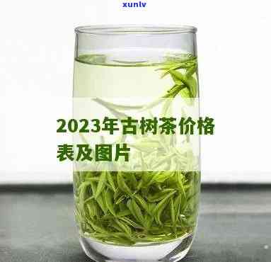 竹子古树茶价格-竹子古树茶价格2023